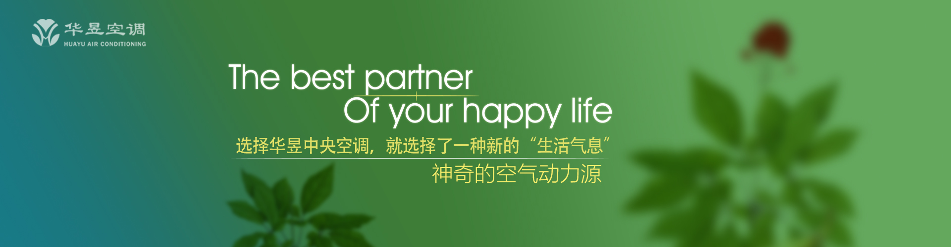 爱才如渴网